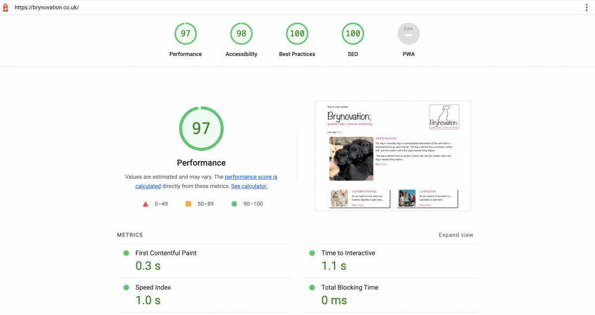 screenshot of a lighthouse test